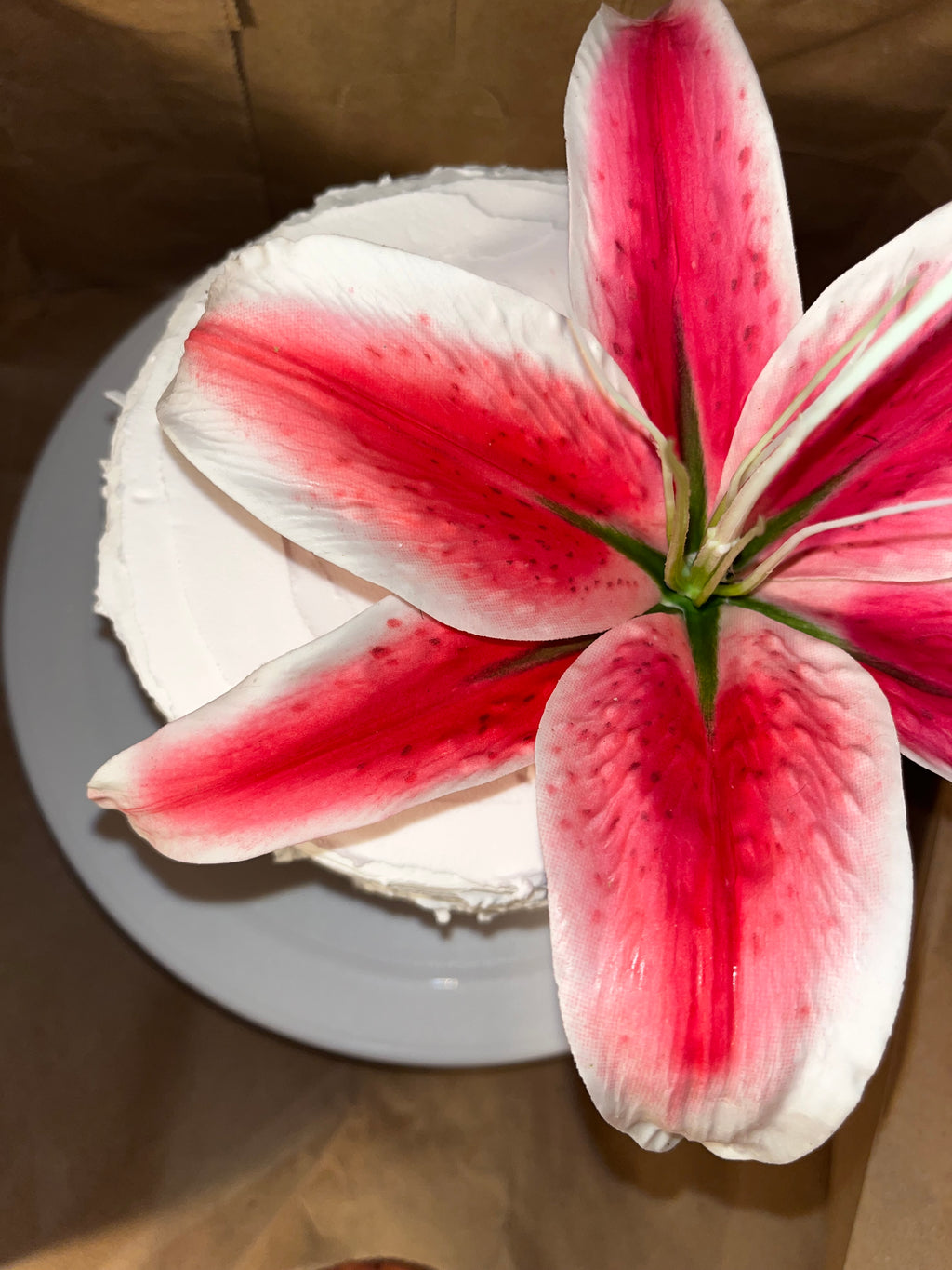 Lily